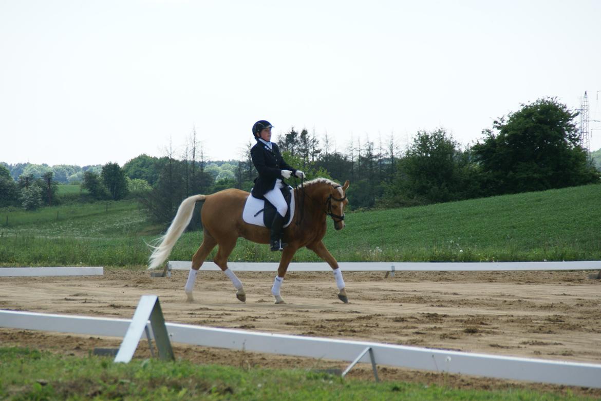 Højfyns Rideklub  Pinsen 2012 billede 70