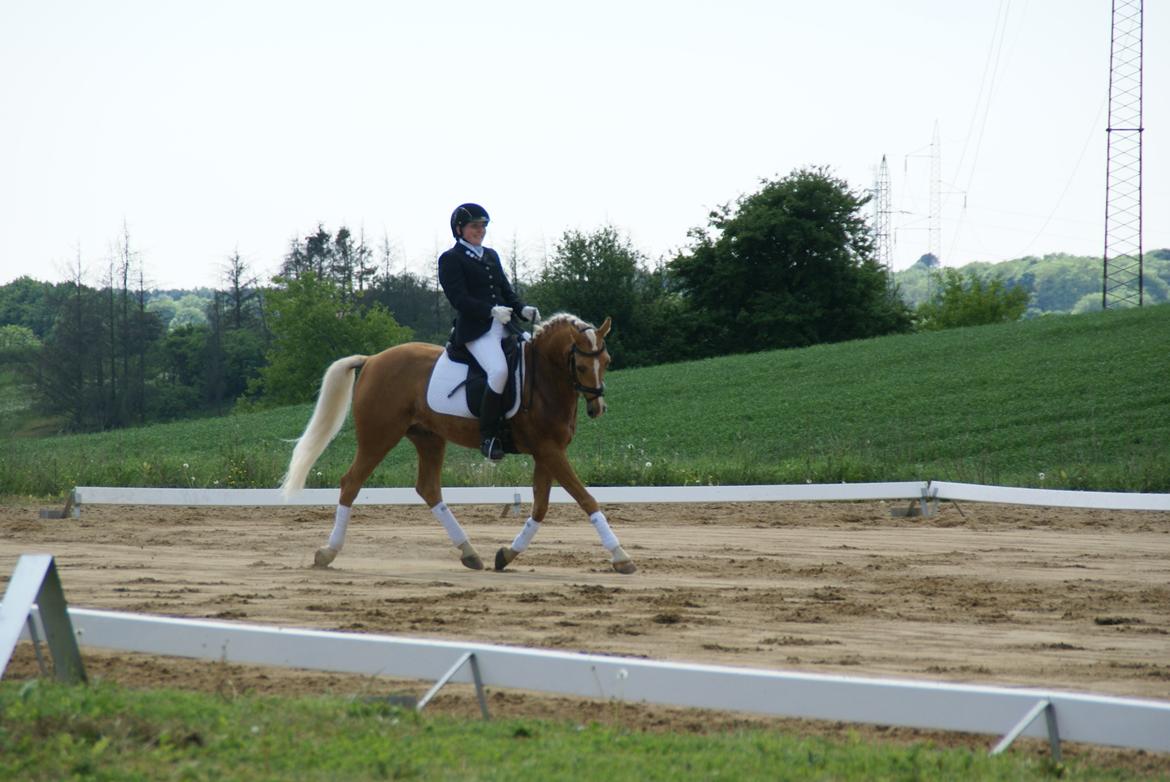 Højfyns Rideklub  Pinsen 2012 billede 71