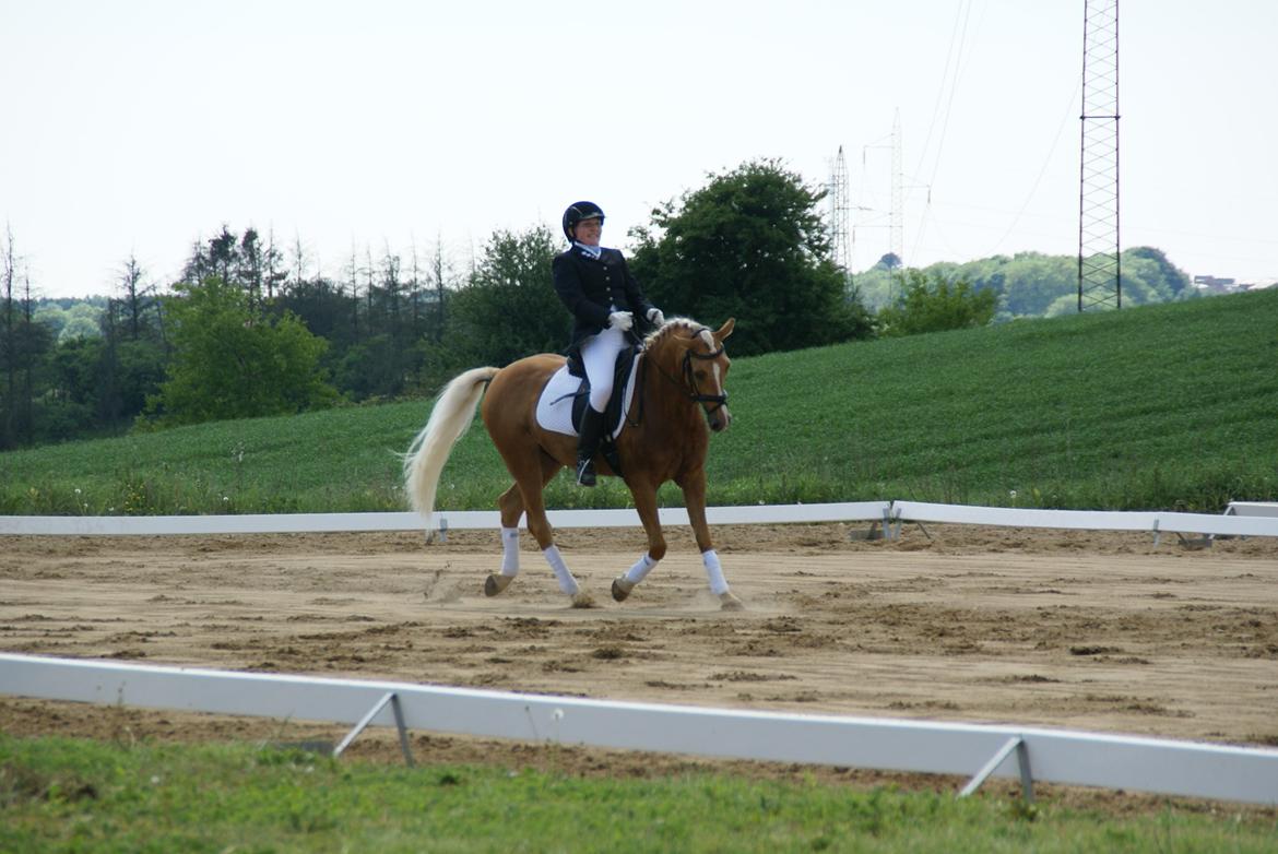 Højfyns Rideklub  Pinsen 2012 billede 72