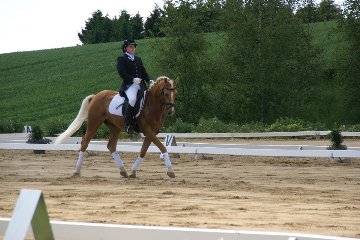 Højfyns Rideklub  Pinsen 2012 billede 73