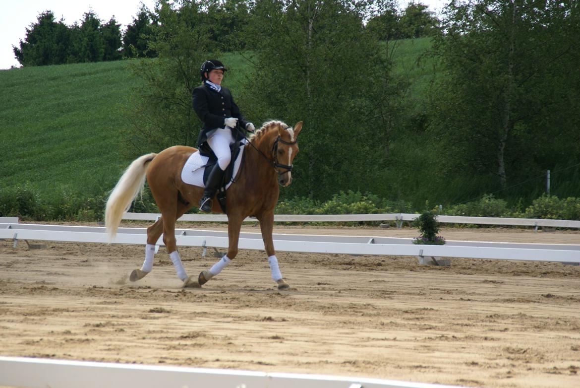Højfyns Rideklub  Pinsen 2012 billede 74