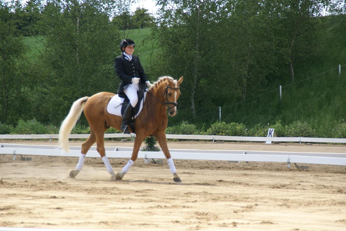 Højfyns Rideklub  Pinsen 2012 billede 75