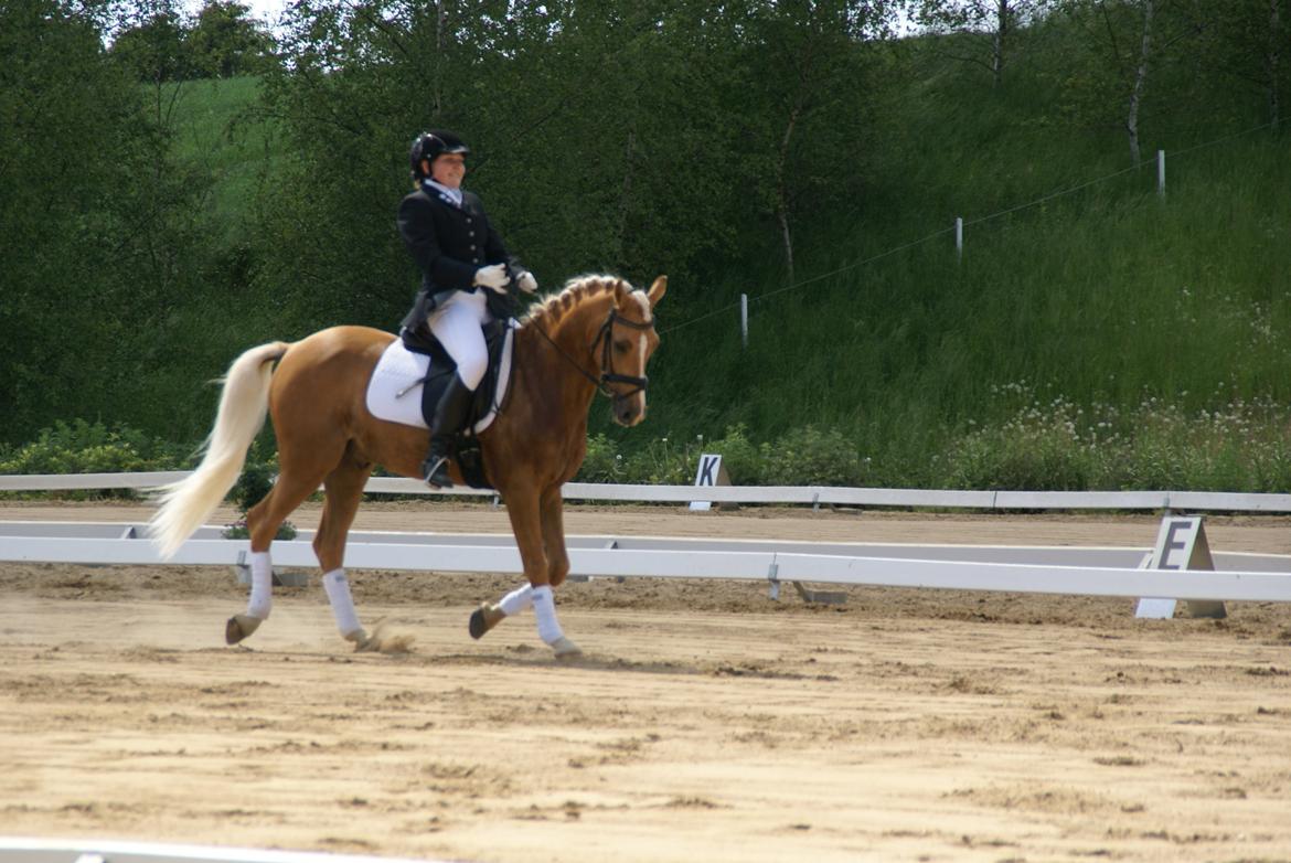 Højfyns Rideklub  Pinsen 2012 billede 76