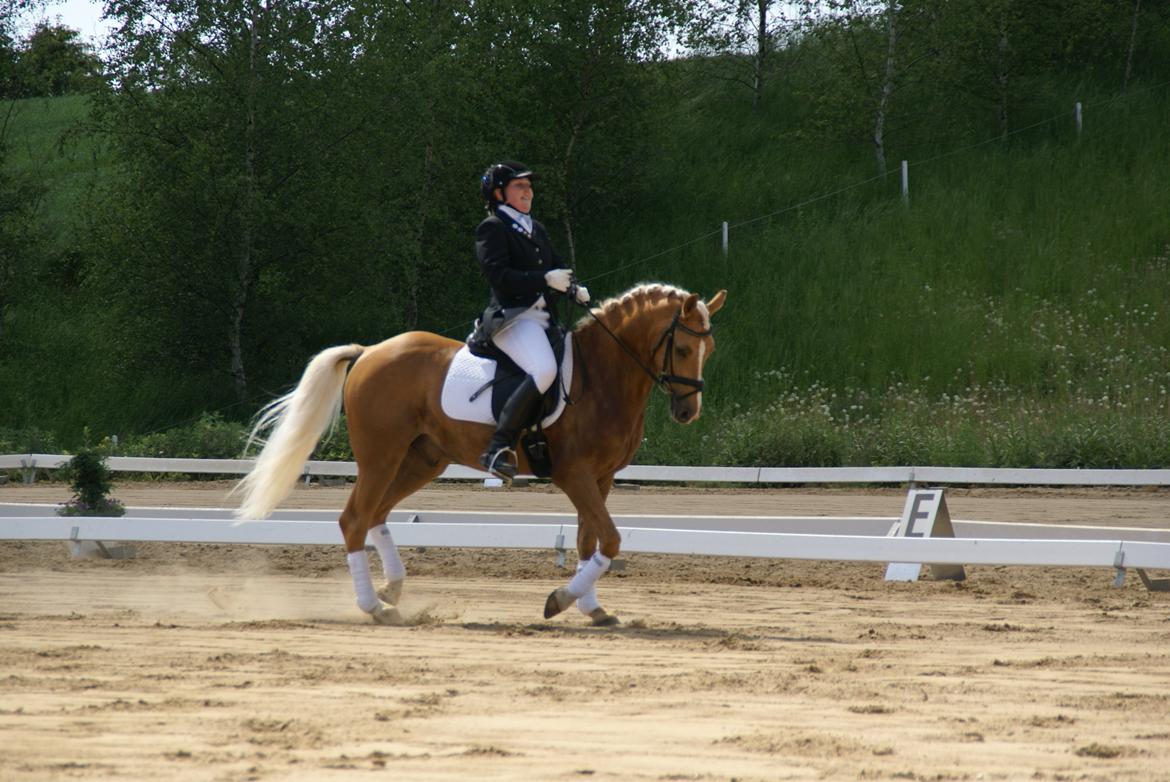 Højfyns Rideklub  Pinsen 2012 billede 77
