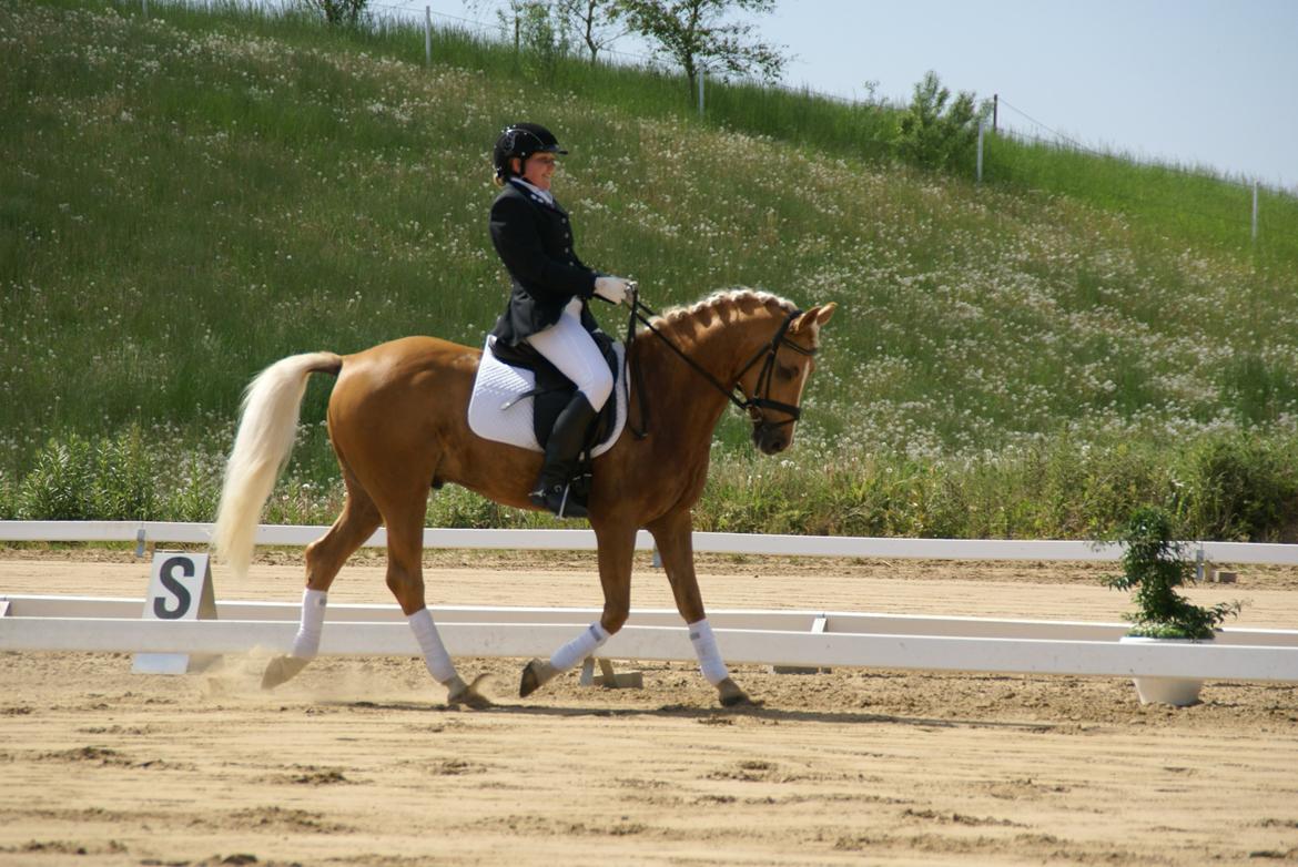 Højfyns Rideklub  Pinsen 2012 billede 78