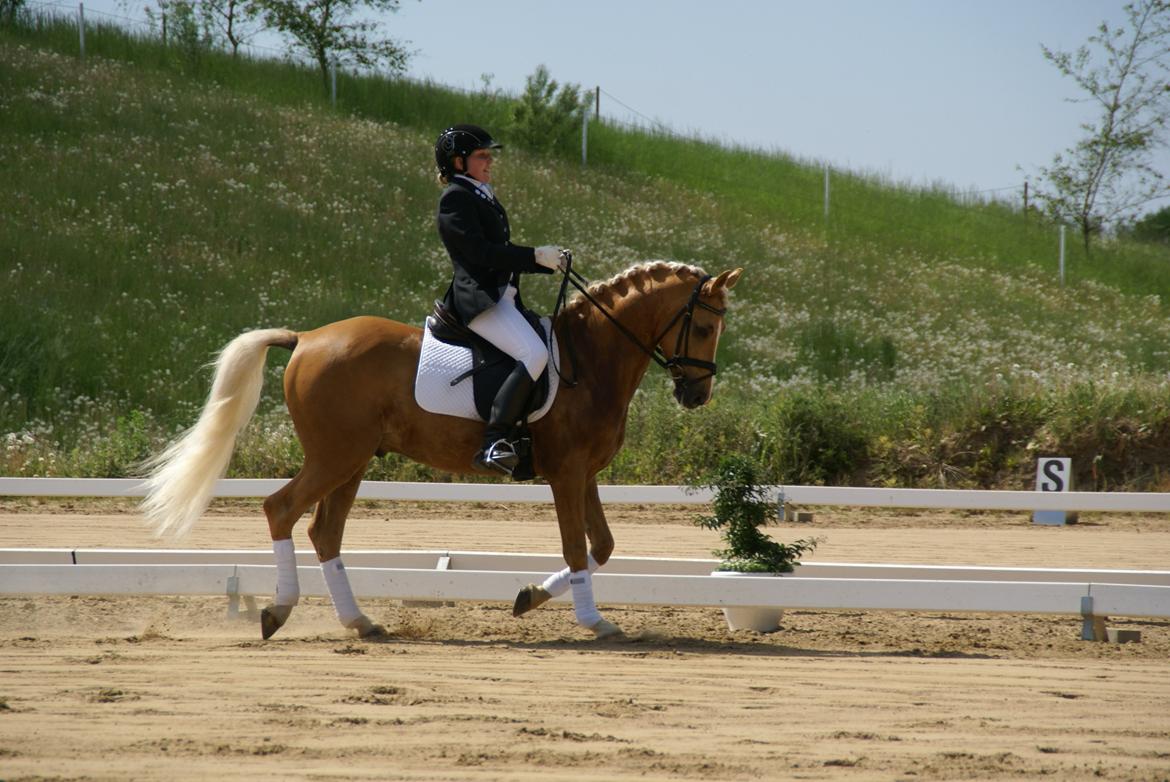 Højfyns Rideklub  Pinsen 2012 billede 79