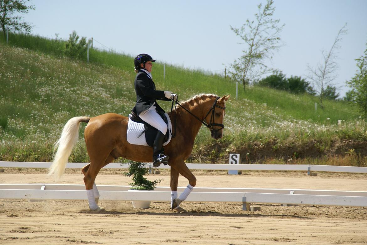 Højfyns Rideklub  Pinsen 2012 billede 80