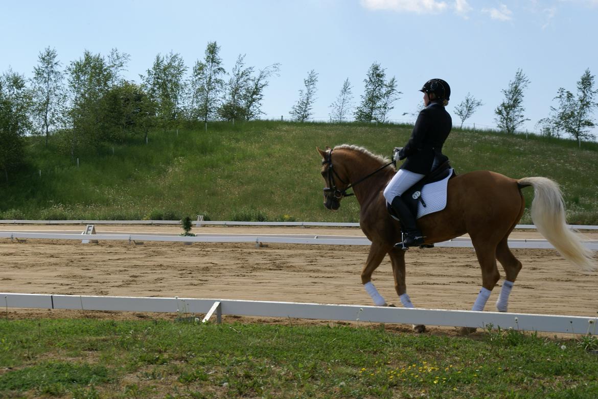 Højfyns Rideklub  Pinsen 2012 billede 81
