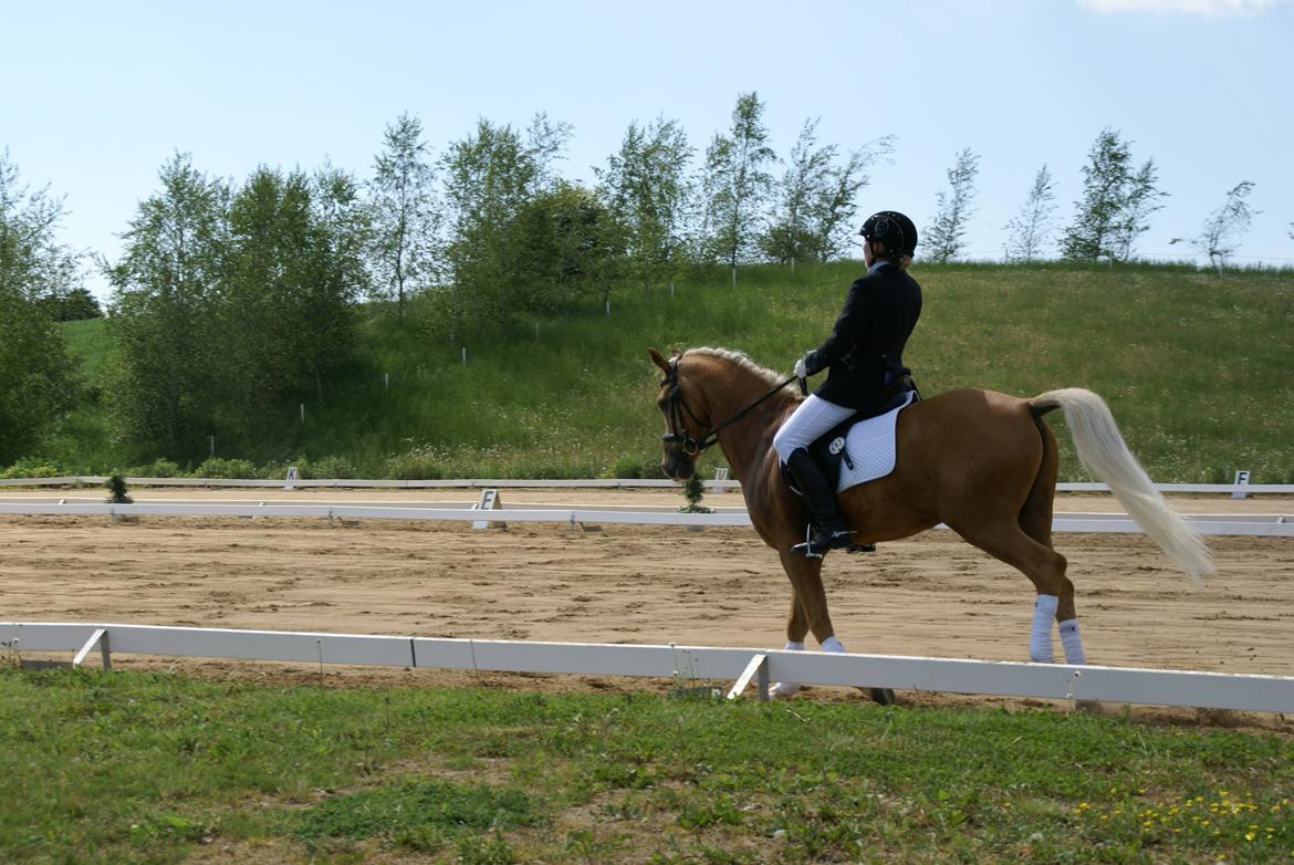 Højfyns Rideklub  Pinsen 2012 billede 82