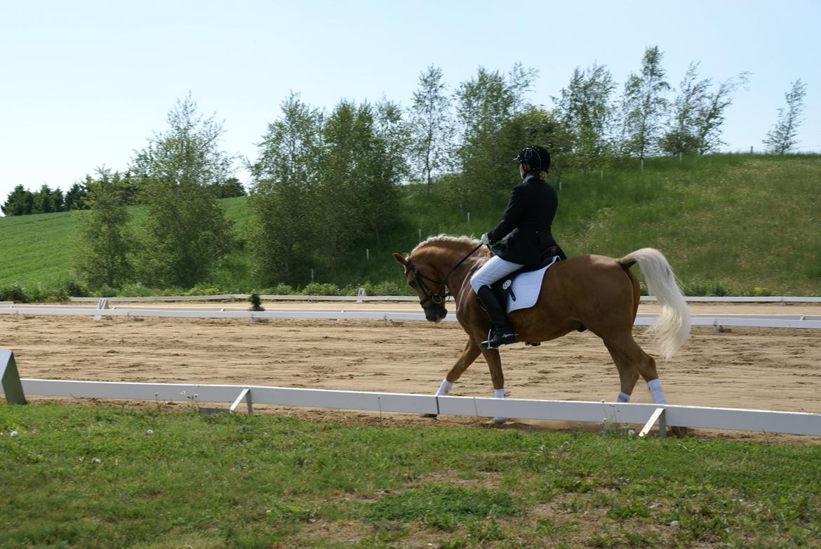 Højfyns Rideklub  Pinsen 2012 billede 83