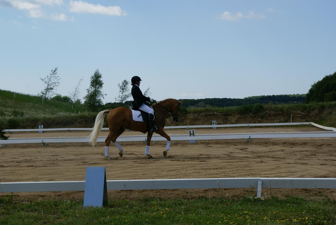 Højfyns Rideklub  Pinsen 2012 billede 85
