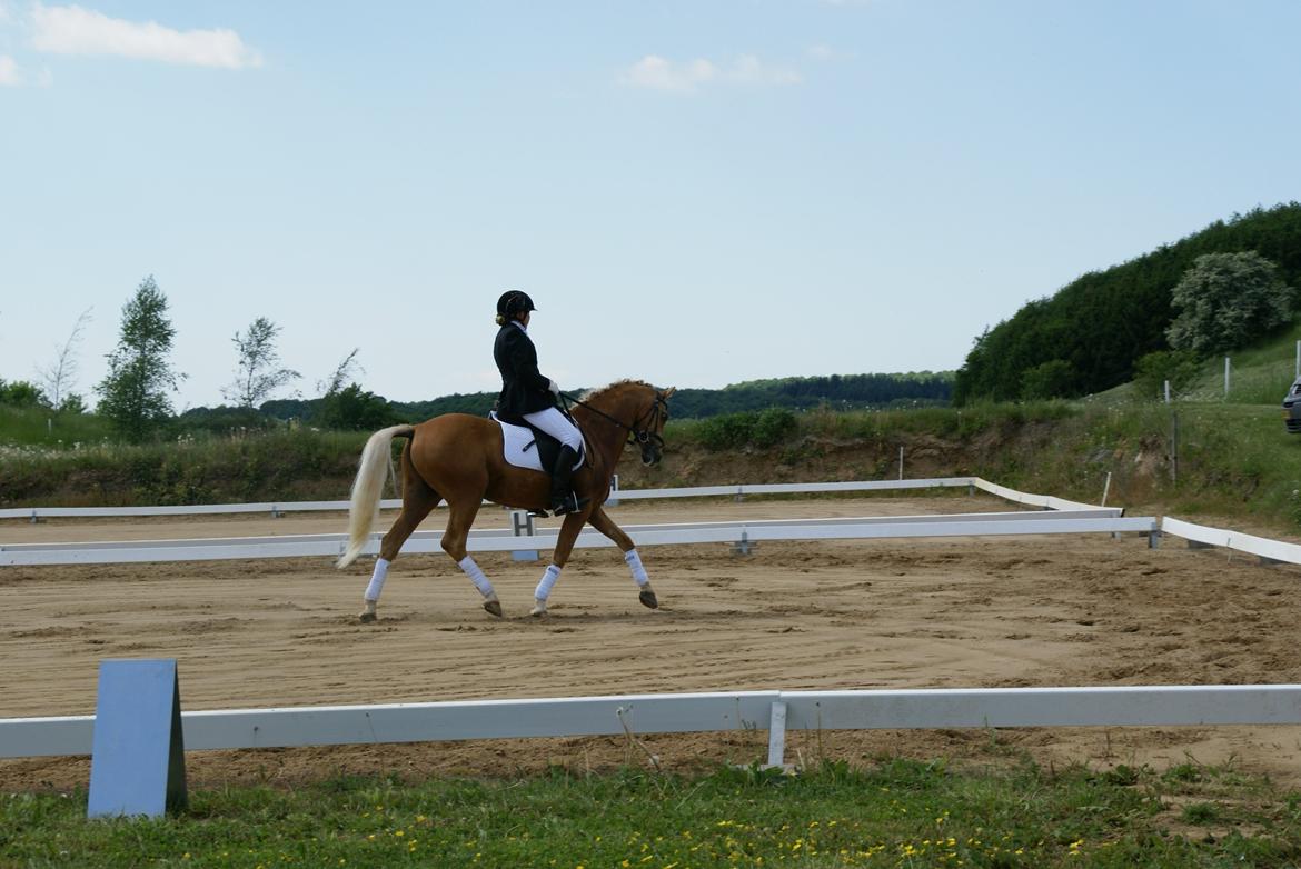 Højfyns Rideklub  Pinsen 2012 billede 86