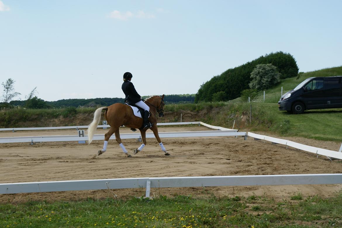 Højfyns Rideklub  Pinsen 2012 billede 87
