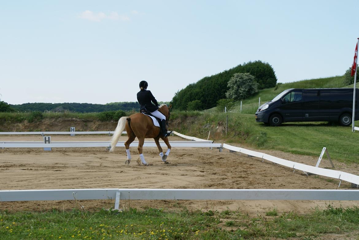 Højfyns Rideklub  Pinsen 2012 billede 88