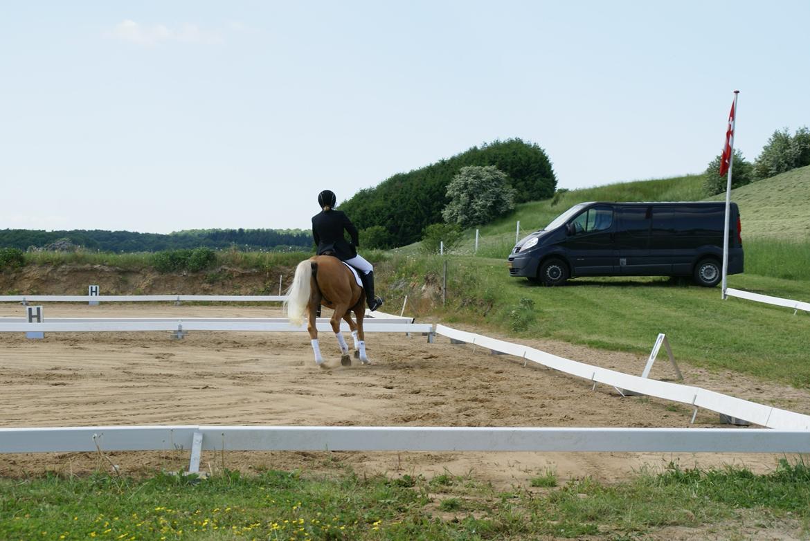 Højfyns Rideklub  Pinsen 2012 billede 89