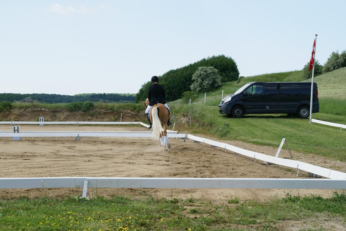 Højfyns Rideklub  Pinsen 2012 billede 90