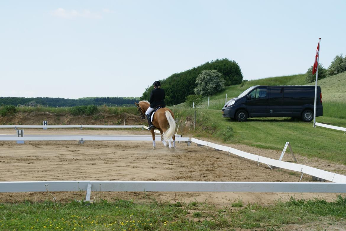 Højfyns Rideklub  Pinsen 2012 billede 91