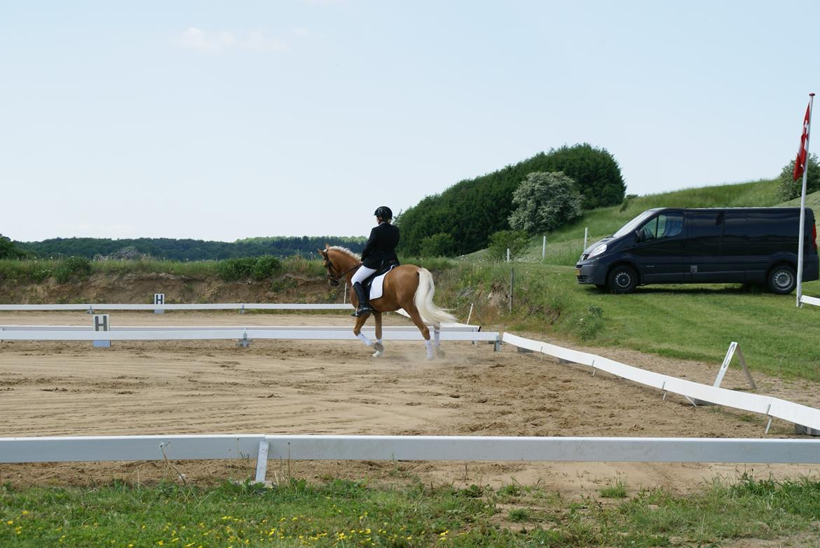 Højfyns Rideklub  Pinsen 2012 billede 92