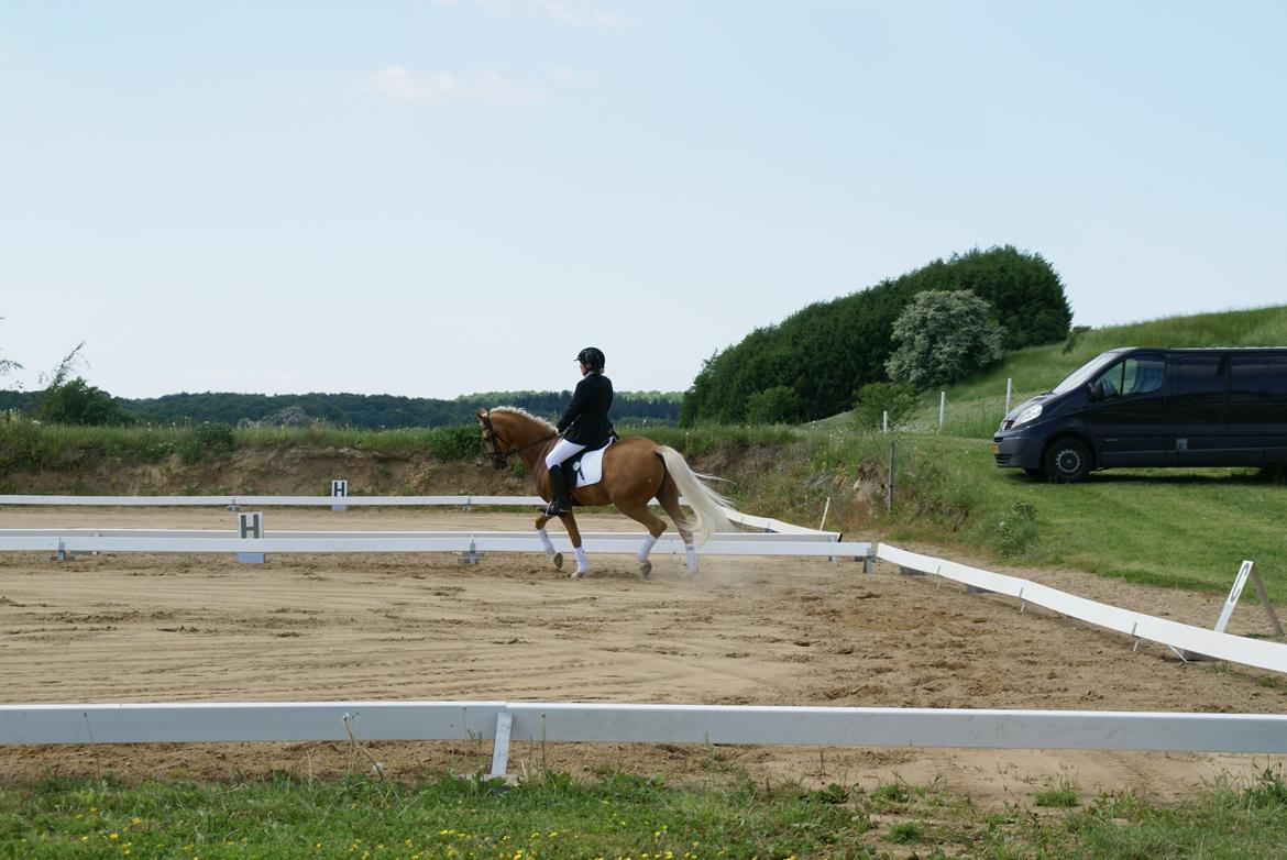 Højfyns Rideklub  Pinsen 2012 billede 93