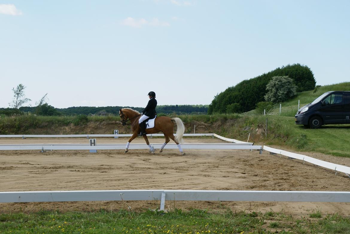 Højfyns Rideklub  Pinsen 2012 billede 94