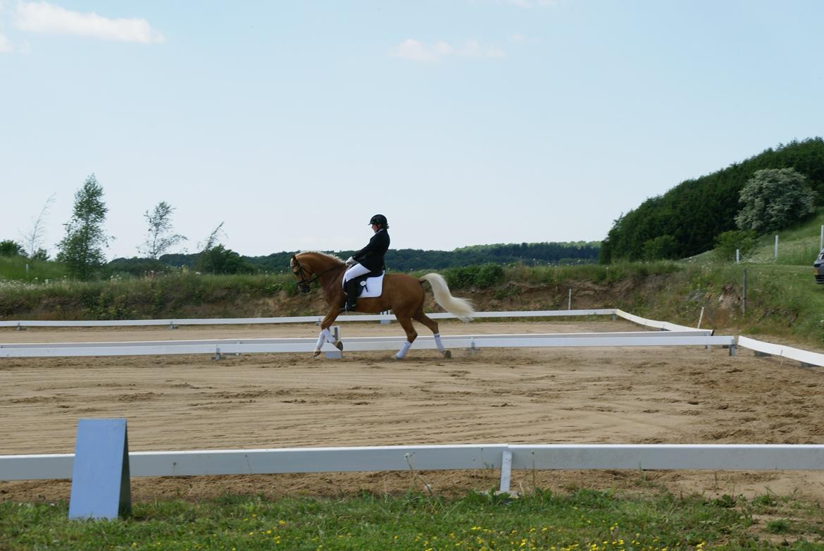 Højfyns Rideklub  Pinsen 2012 billede 95