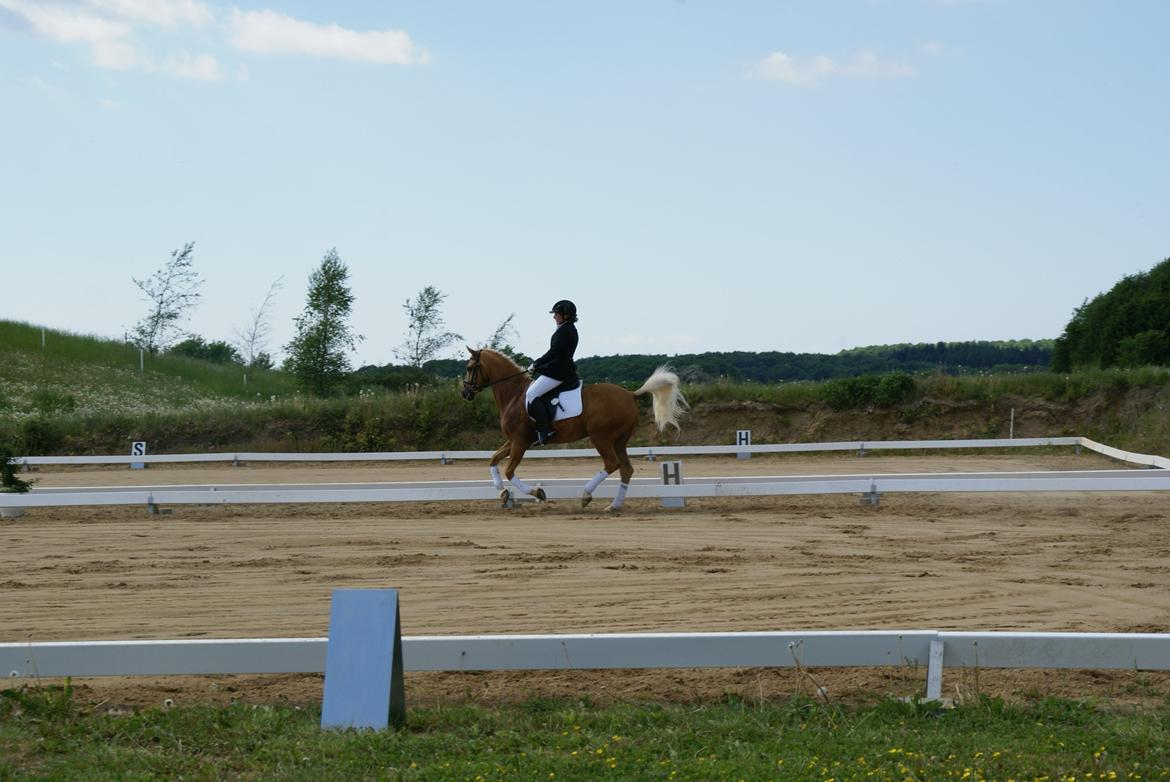 Højfyns Rideklub  Pinsen 2012 billede 96