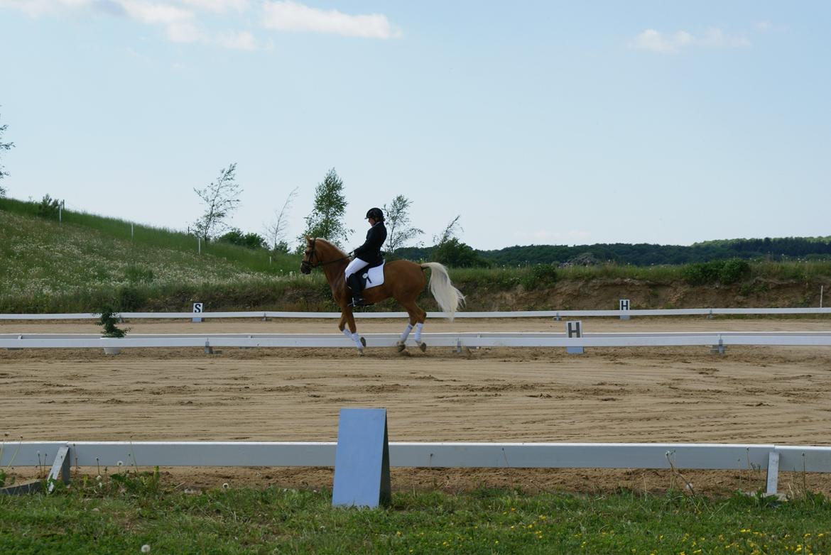 Højfyns Rideklub  Pinsen 2012 billede 97