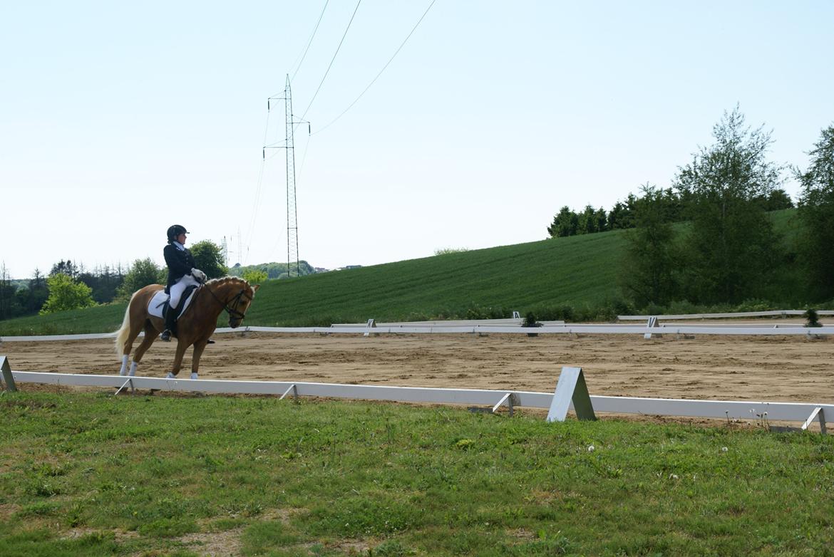 Højfyns Rideklub  Pinsen 2012 billede 98