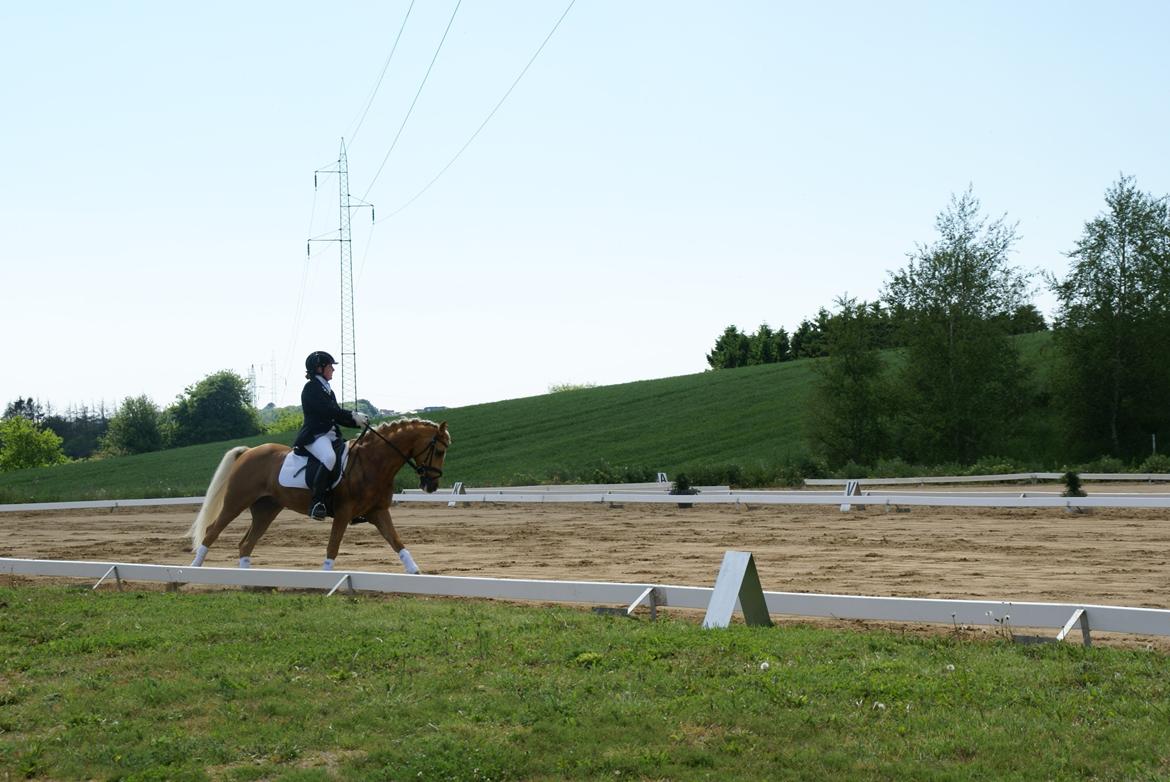 Højfyns Rideklub  Pinsen 2012 billede 99
