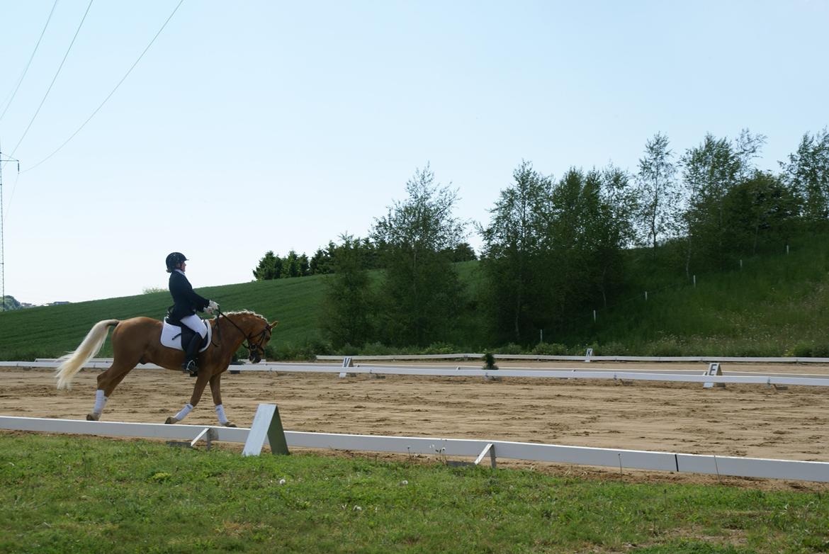Højfyns Rideklub  Pinsen 2012 billede 100