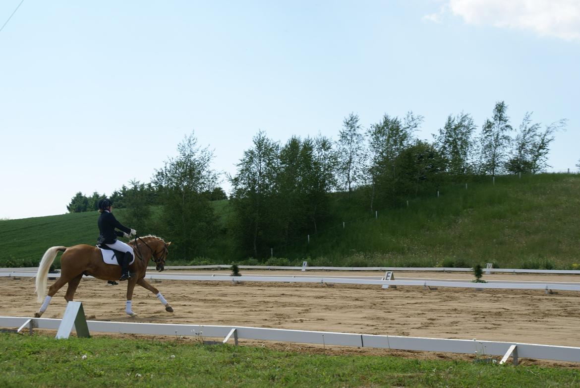 Højfyns Rideklub  Pinsen 2012 billede 101