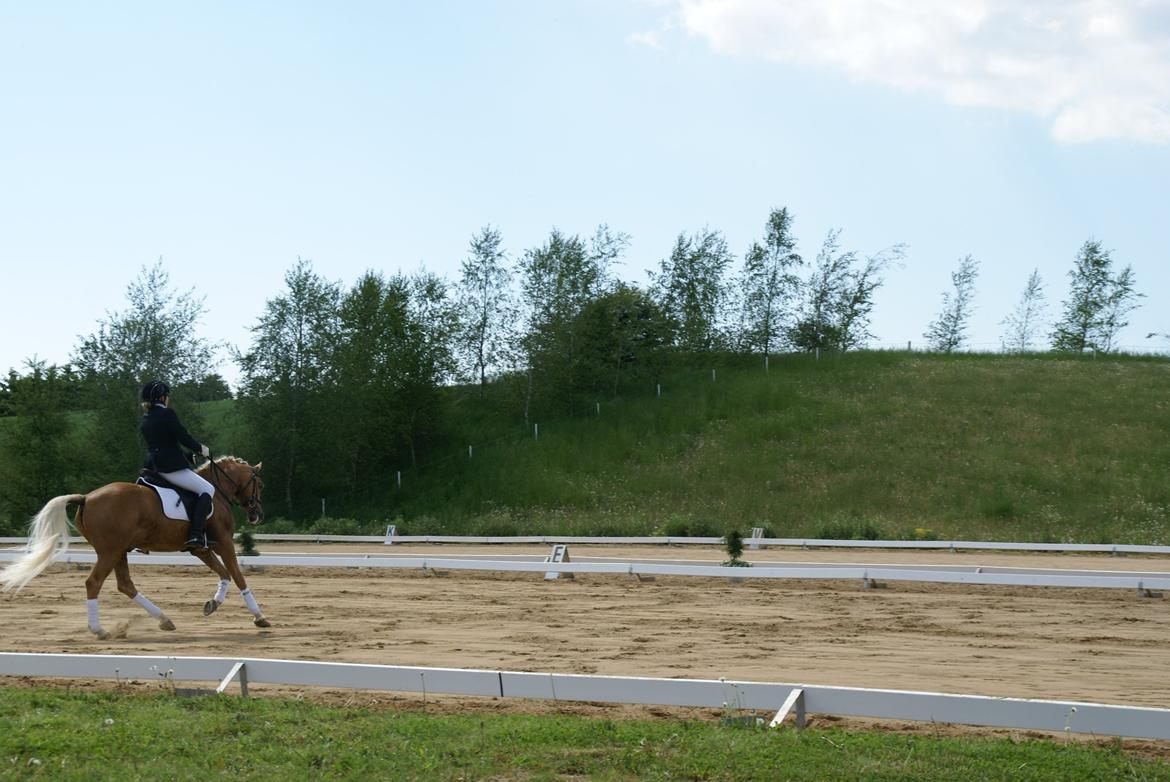 Højfyns Rideklub  Pinsen 2012 billede 102