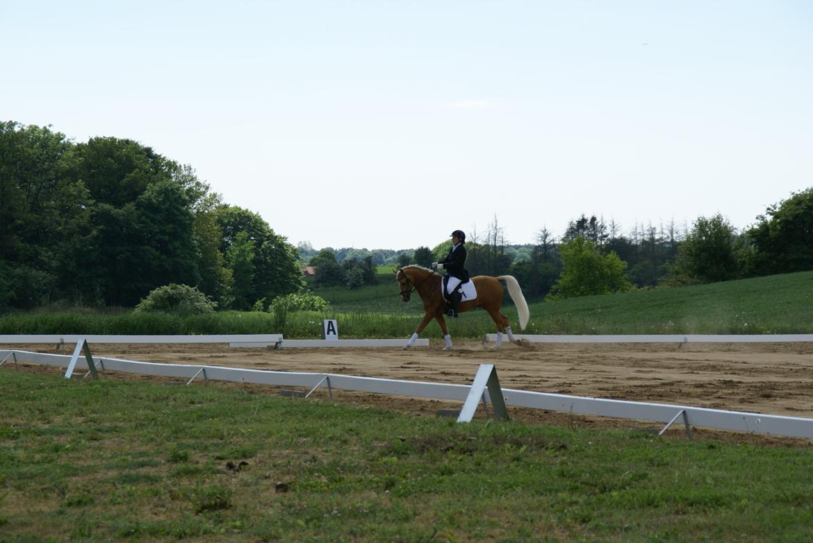Højfyns Rideklub  Pinsen 2012 billede 104