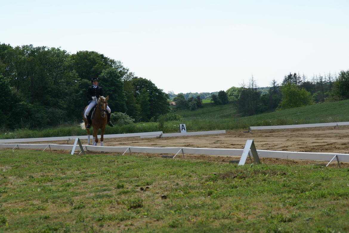 Højfyns Rideklub  Pinsen 2012 billede 106