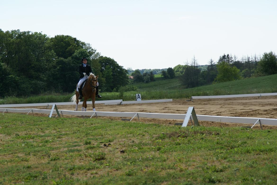 Højfyns Rideklub  Pinsen 2012 billede 107