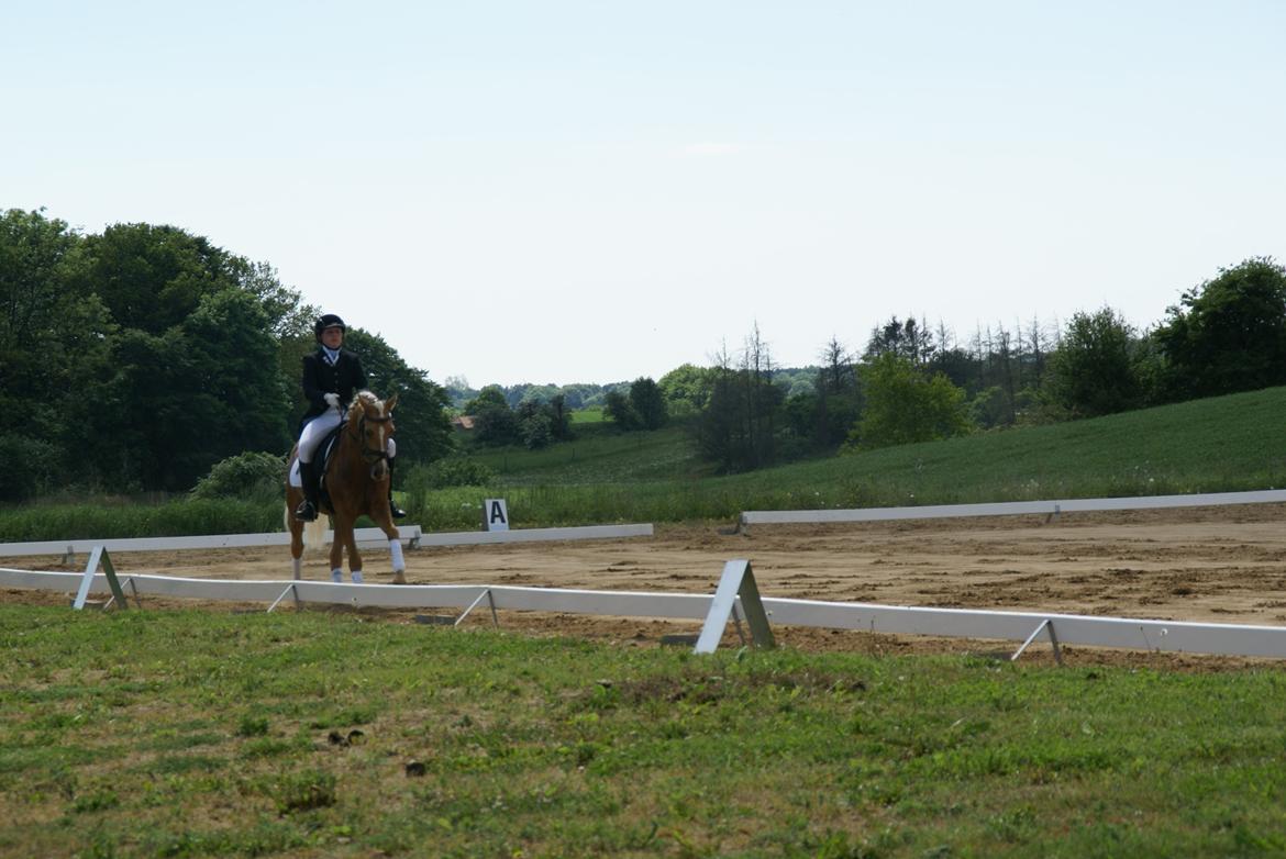 Højfyns Rideklub  Pinsen 2012 billede 108