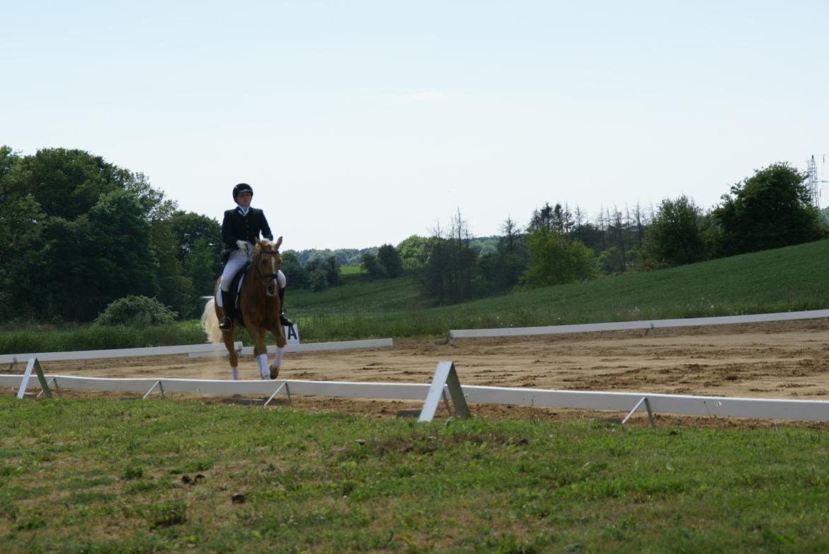 Højfyns Rideklub  Pinsen 2012 billede 109