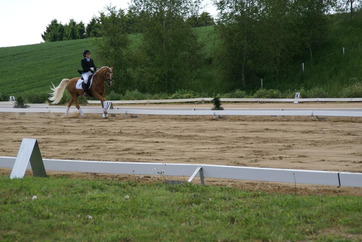 Højfyns Rideklub  Pinsen 2012 billede 110