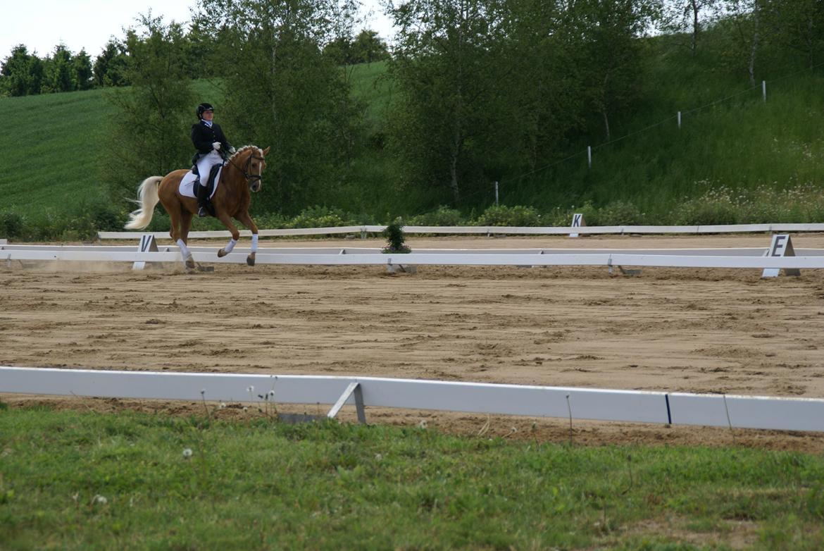 Højfyns Rideklub  Pinsen 2012 billede 111
