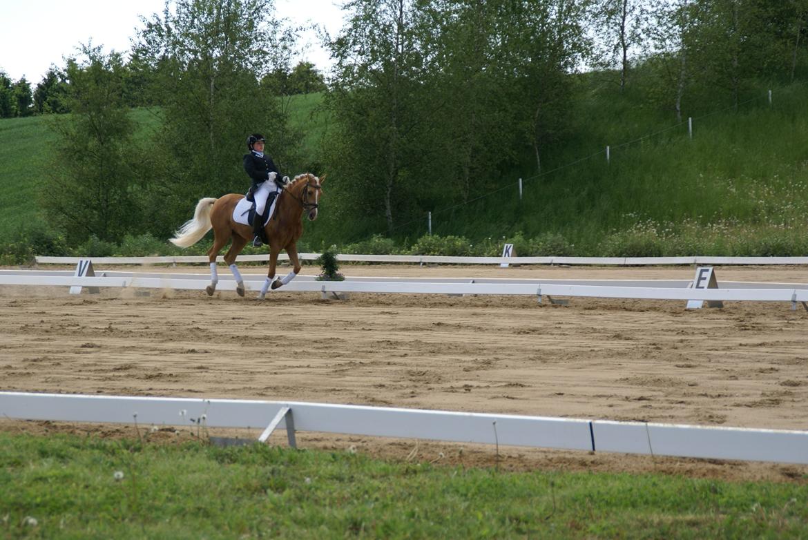 Højfyns Rideklub  Pinsen 2012 billede 112