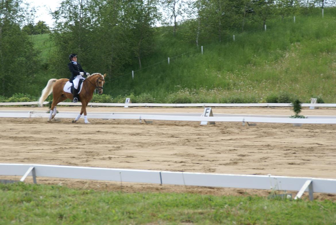 Højfyns Rideklub  Pinsen 2012 billede 113