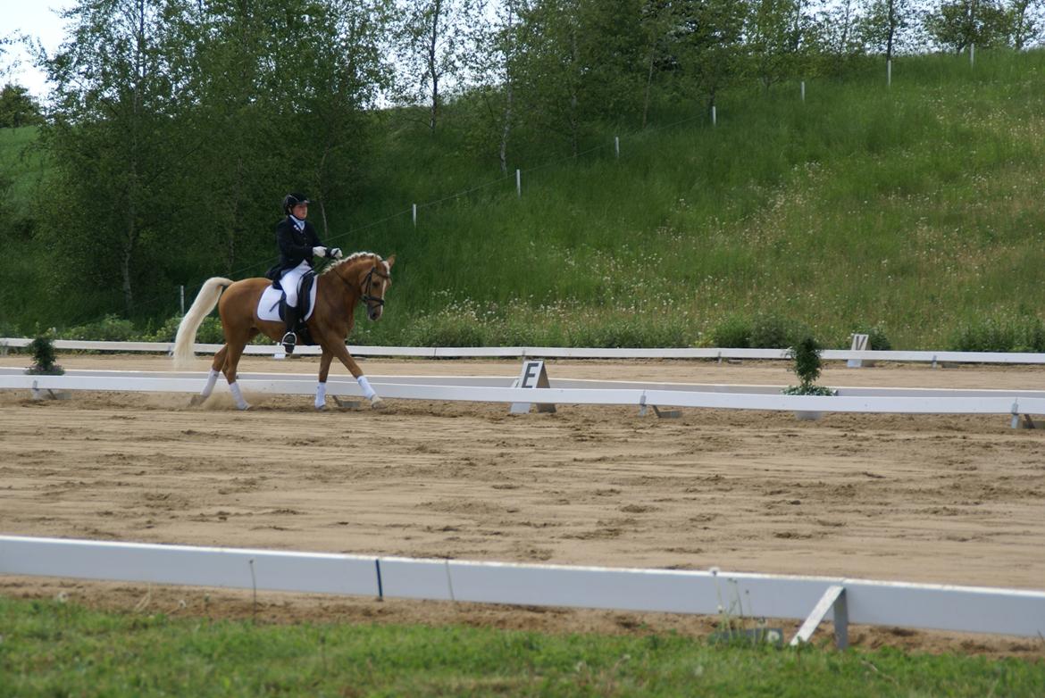 Højfyns Rideklub  Pinsen 2012 billede 114