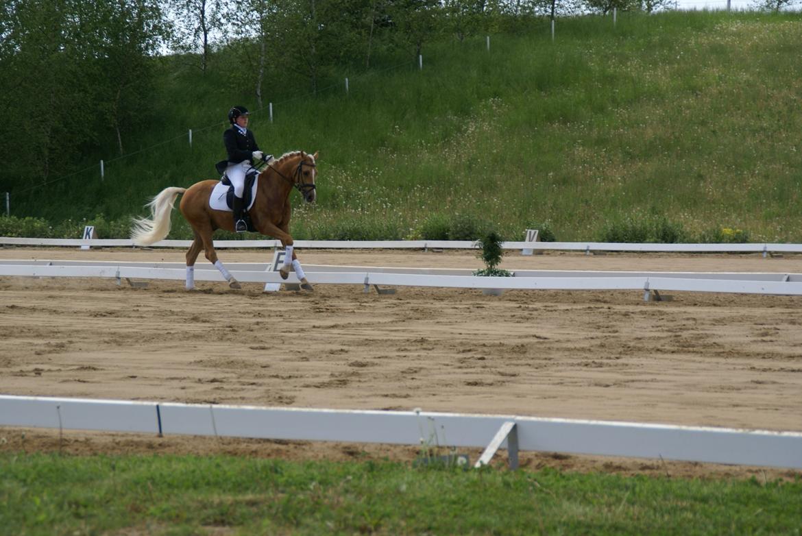Højfyns Rideklub  Pinsen 2012 billede 115
