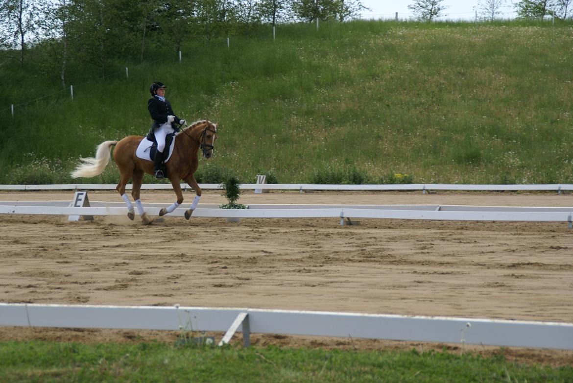 Højfyns Rideklub  Pinsen 2012 billede 116