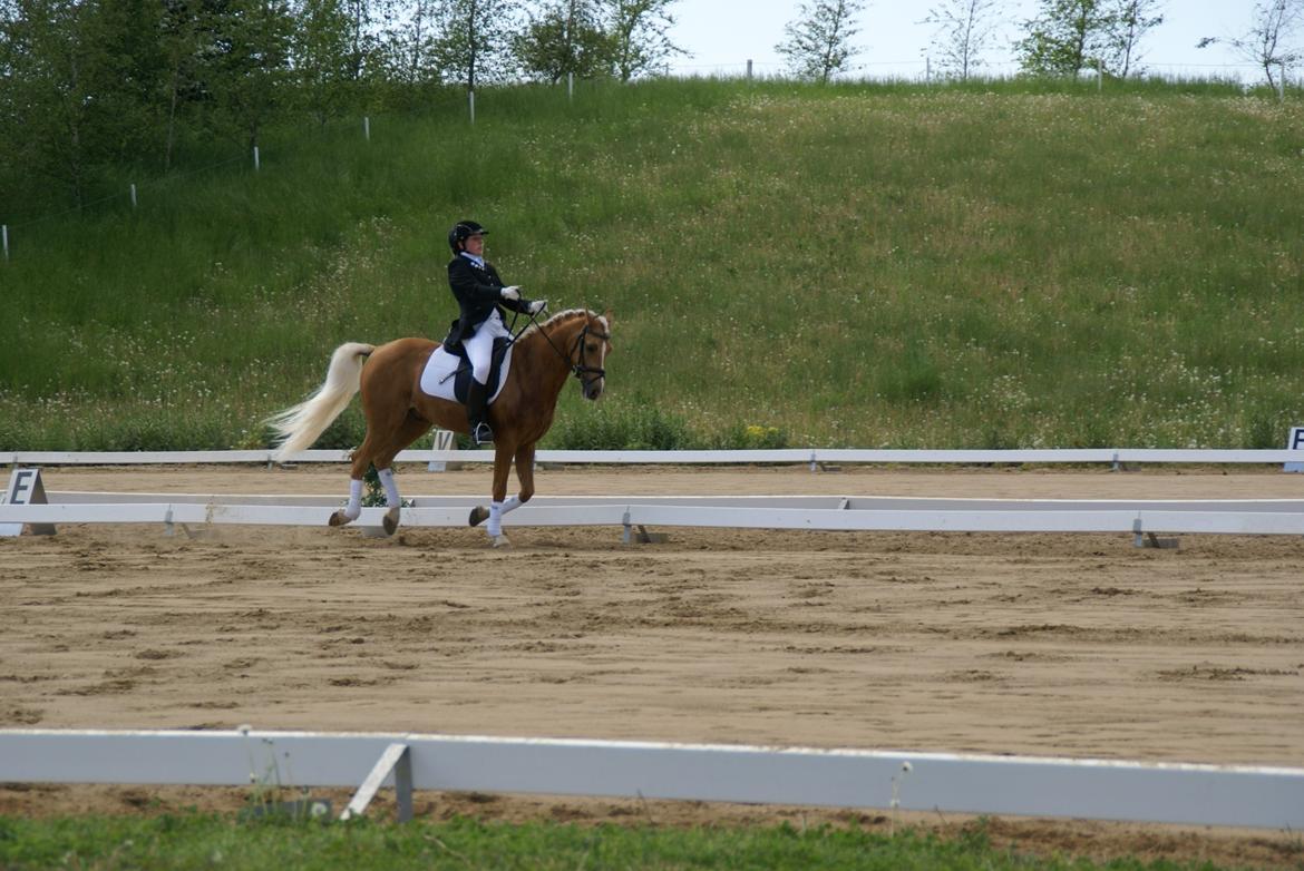 Højfyns Rideklub  Pinsen 2012 billede 117