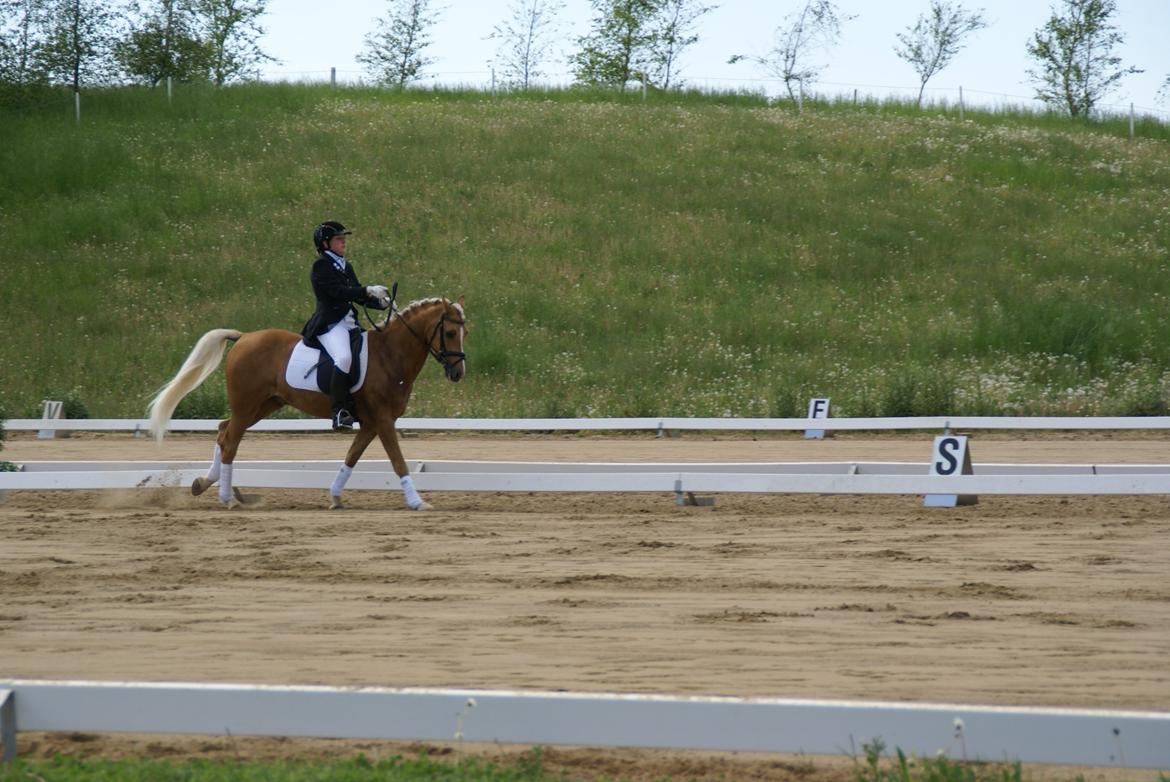 Højfyns Rideklub  Pinsen 2012 billede 118