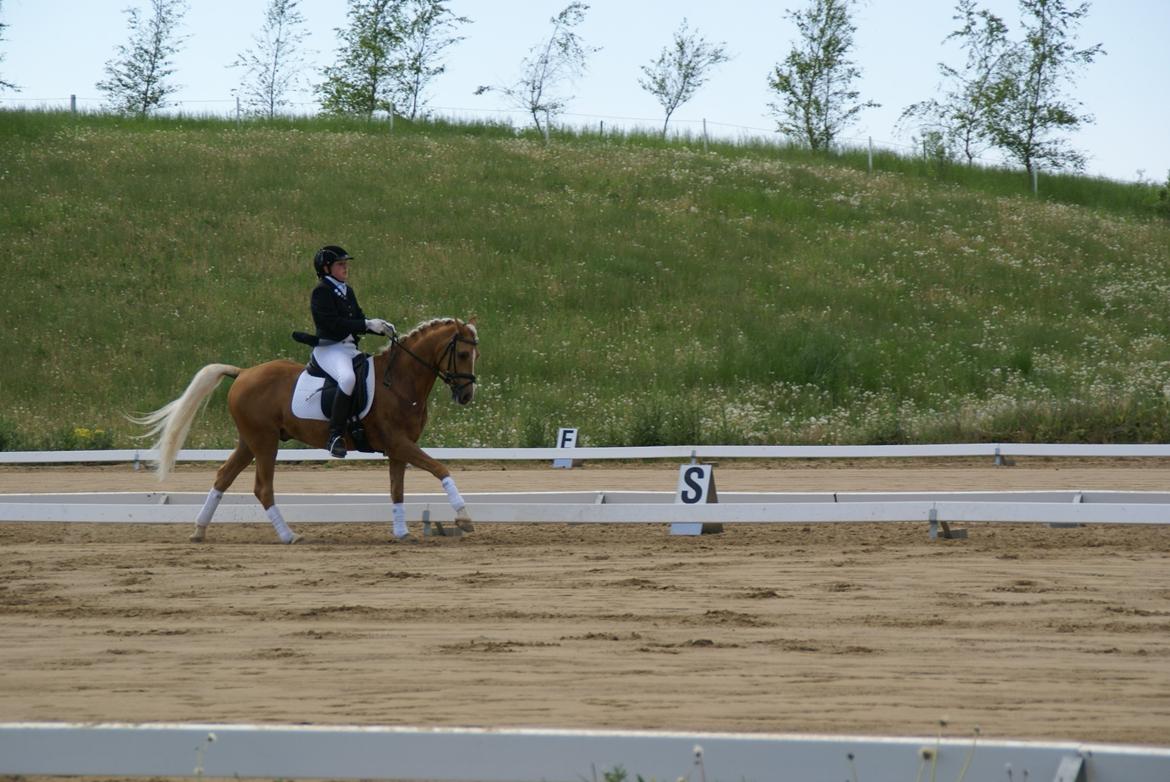 Højfyns Rideklub  Pinsen 2012 billede 119