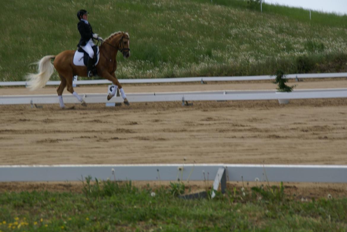 Højfyns Rideklub  Pinsen 2012 billede 120