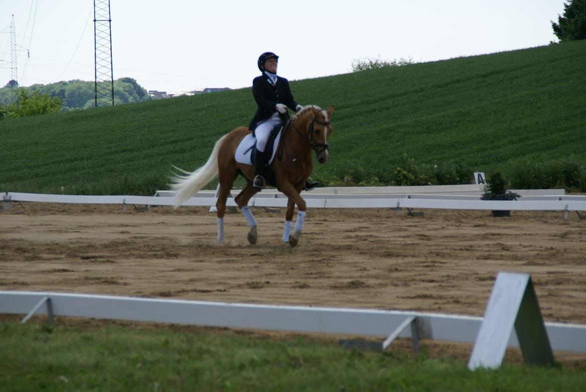 Højfyns Rideklub  Pinsen 2012 billede 121