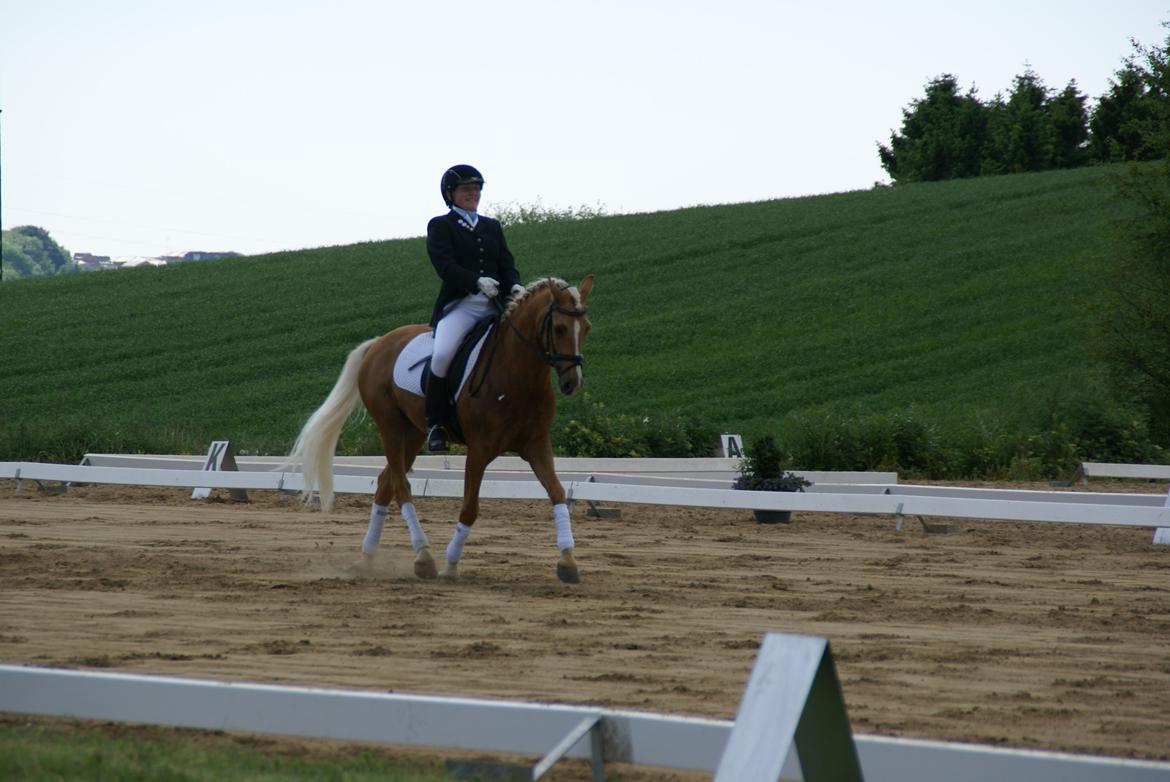 Højfyns Rideklub  Pinsen 2012 billede 122